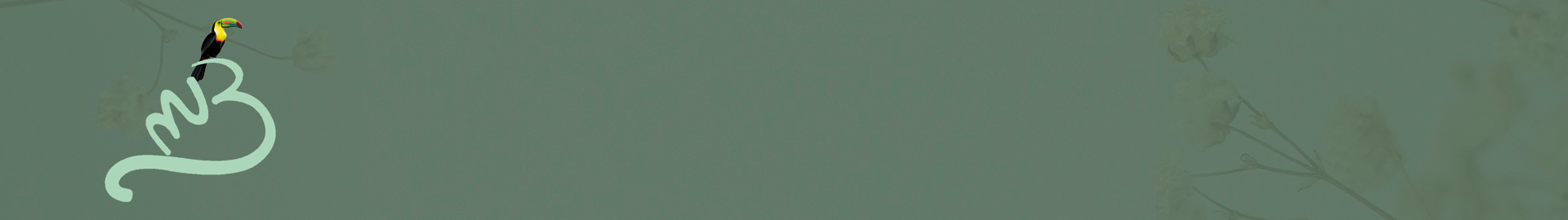 Joyas naturales,  artesanal, piezas únicas en plata de ley925